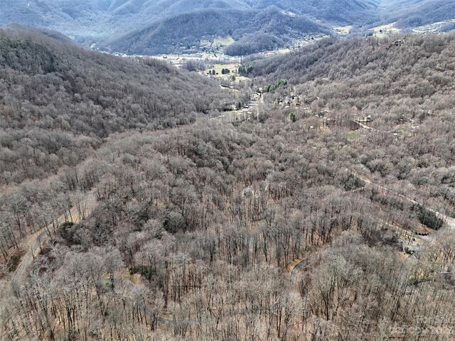 00 Evans Cove Rd, Maggie Valley, NC 28751 - photo 15