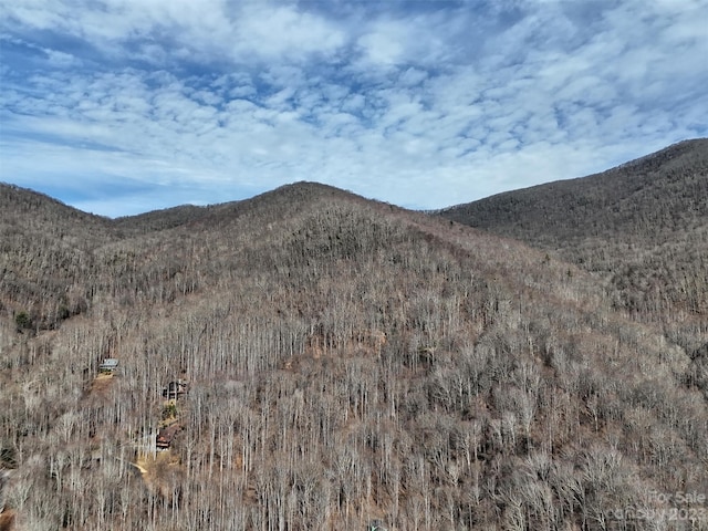 00 Evans Cove Rd, Maggie Valley, NC 28751 - photo 17