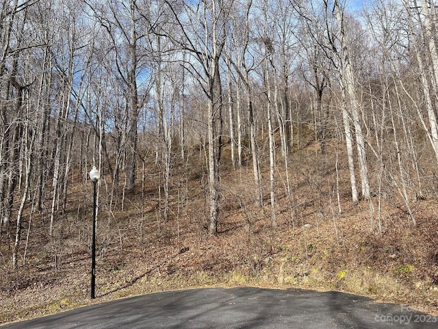 00 Evans Cove Rd, Maggie Valley, NC 28751 - photo 18