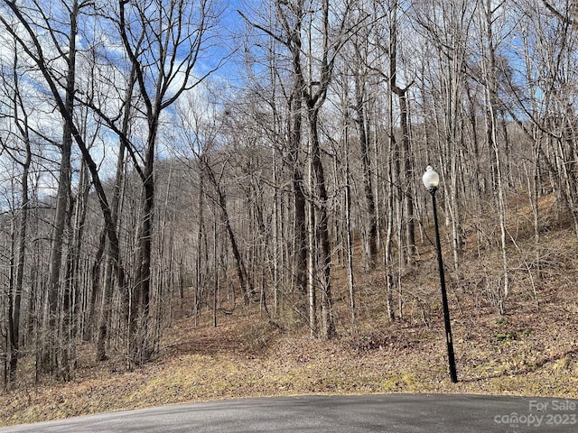 00 Evans Cove Rd, Maggie Valley, NC 28751 - photo 19