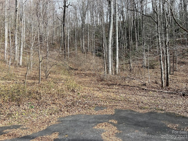 00 Evans Cove Rd, Maggie Valley, NC 28751 - photo 20