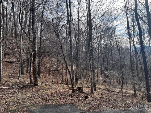 00 Evans Cove Rd, Maggie Valley, NC 28751 - photo 21