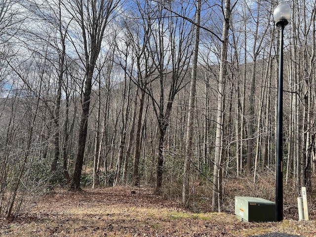 00 Evans Cove Rd, Maggie Valley, NC 28751 - photo 22