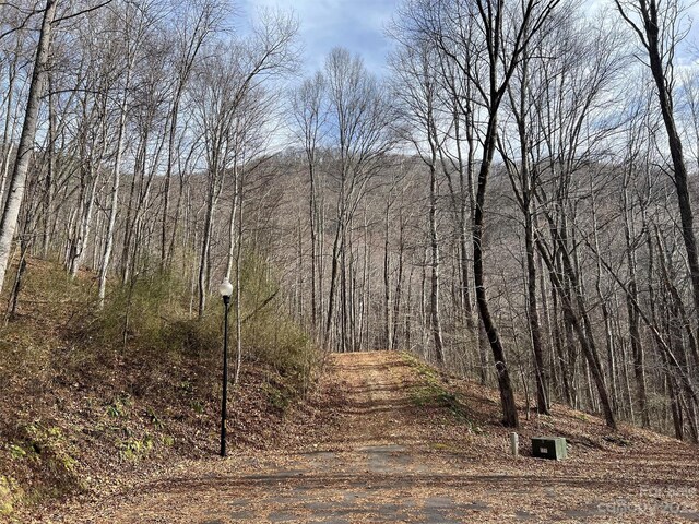 00 Evans Cove Rd, Maggie Valley, NC 28751 - photo 23