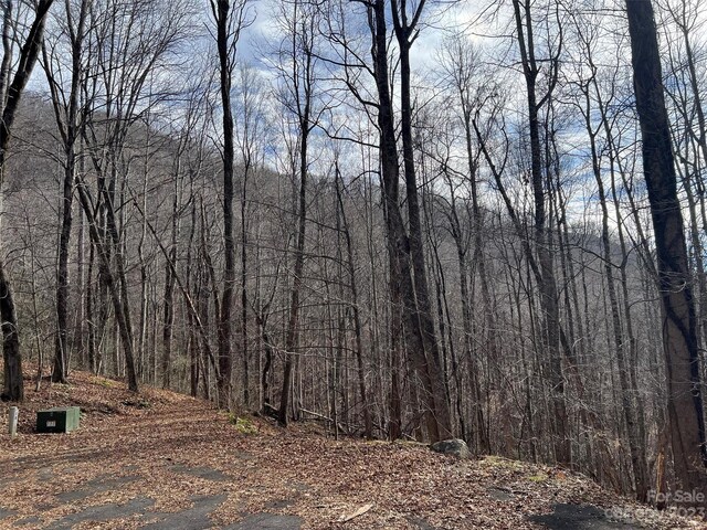 00 Evans Cove Rd, Maggie Valley, NC 28751 - photo 24