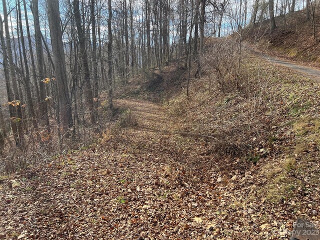 00 Evans Cove Rd, Maggie Valley, NC 28751 - photo 25