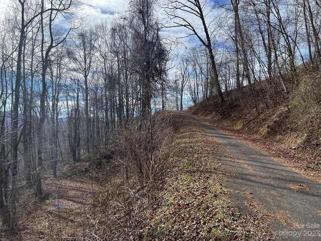 00 Evans Cove Rd, Maggie Valley, NC 28751 - photo 26
