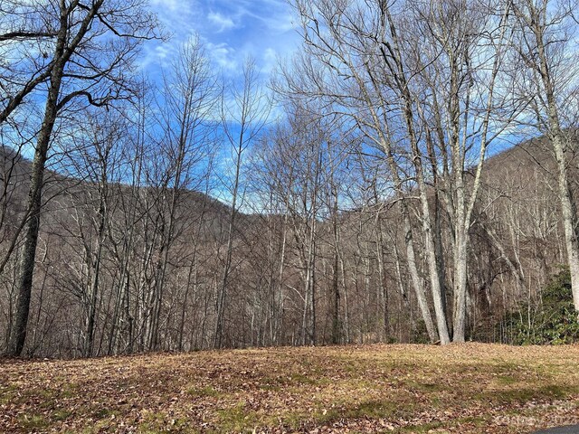 00 Evans Cove Rd, Maggie Valley, NC 28751 - photo 27