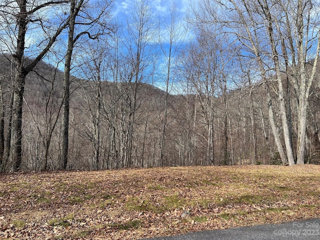 00 Evans Cove Rd, Maggie Valley, NC 28751 - photo 28