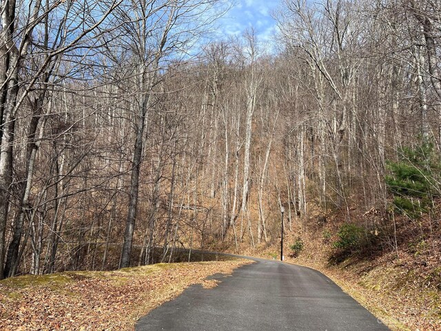 00 Evans Cove Rd, Maggie Valley, NC 28751 - photo 29