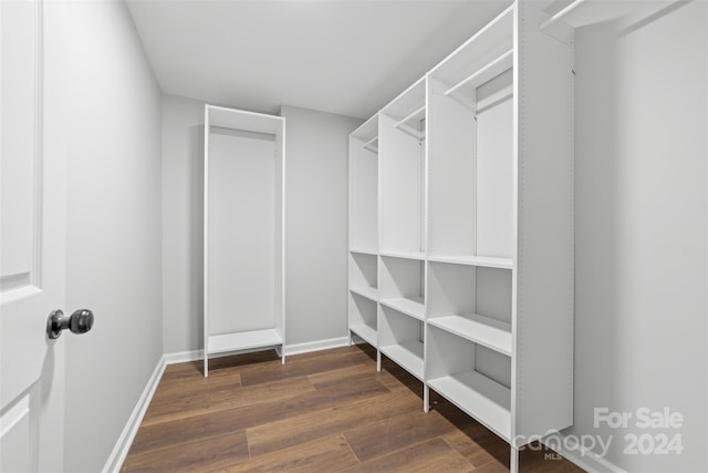 spacious closet featuring dark hardwood / wood-style flooring