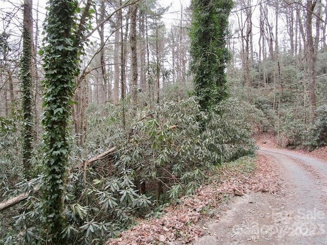 LOT21 Toxaway Falls Dr, Lake Toxaway, NC 28747