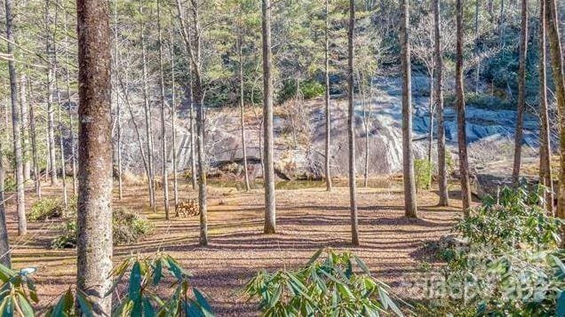 LOT21 Toxaway Falls Dr, Lake Toxaway, NC 28747