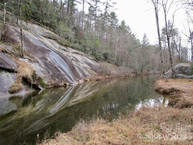 LOT21 Toxaway Falls Dr, Lake Toxaway, NC 28747