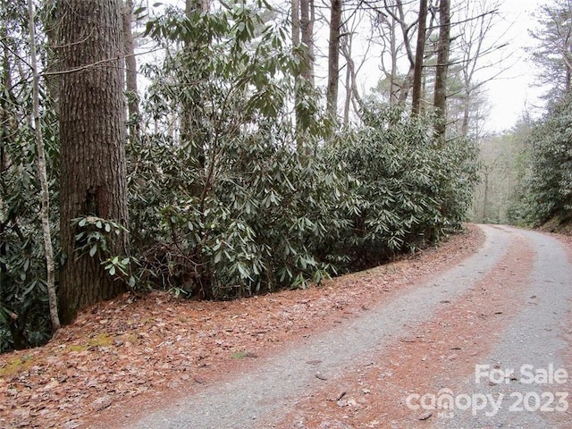 Listing photo 3 for LOT22 Toxaway Falls Dr, Lake Toxaway NC 28747