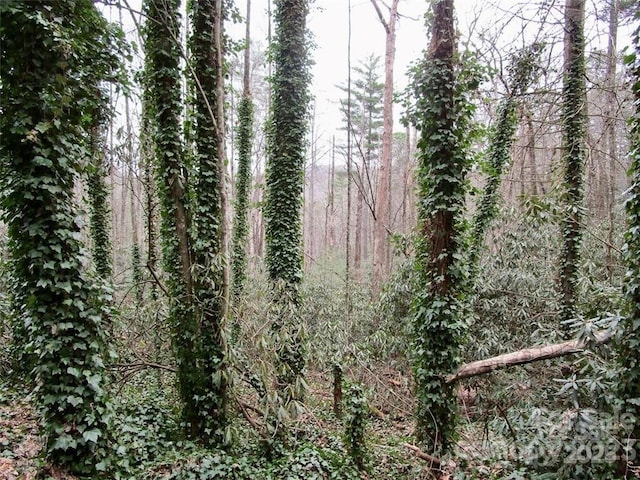LOT22 Toxaway Falls Dr, Lake Toxaway, NC 28747
