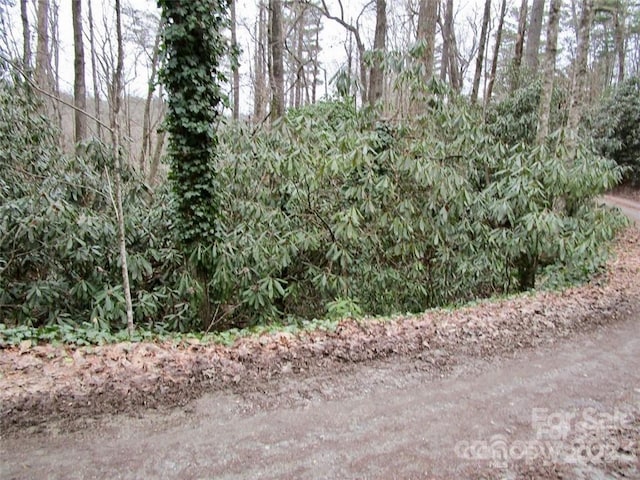 LOT22 Toxaway Falls Dr, Lake Toxaway, NC 28747