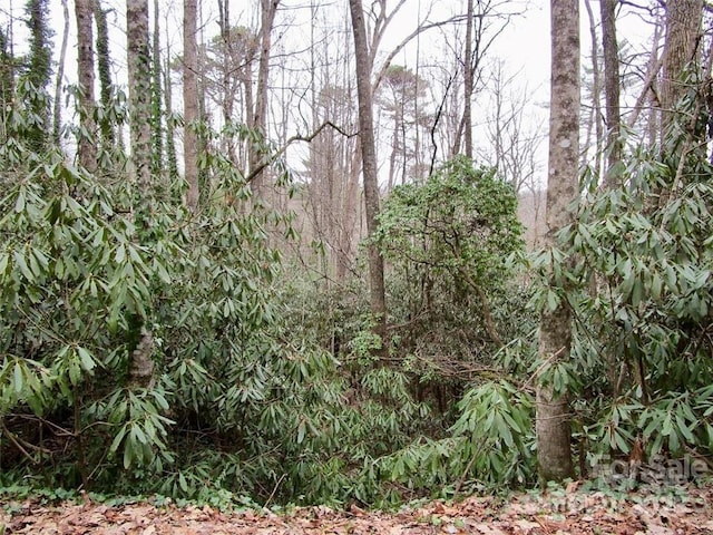 LOT22 Toxaway Falls Dr, Lake Toxaway, NC 28747