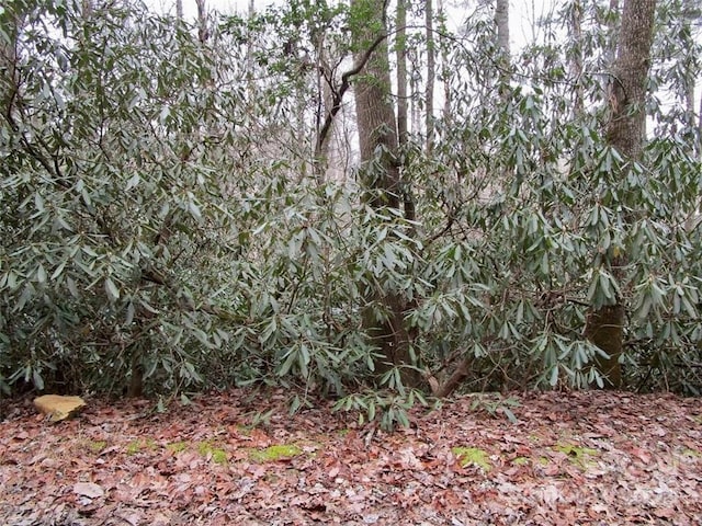 LOT22 Toxaway Falls Dr, Lake Toxaway, NC 28747