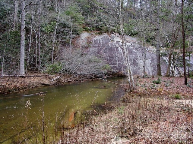 LOT22 Toxaway Falls Dr, Lake Toxaway, NC 28747