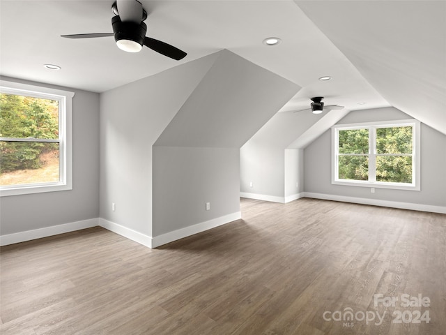 bonus room featuring wood-type flooring, plenty of natural light, and ceiling fan