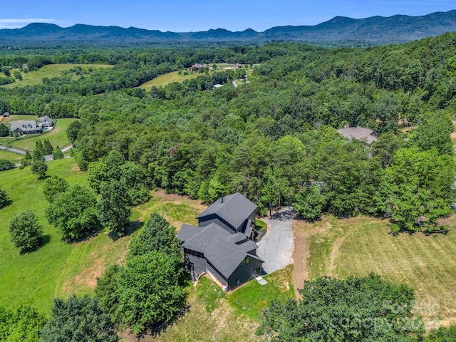 birds eye view of property with a mountain view