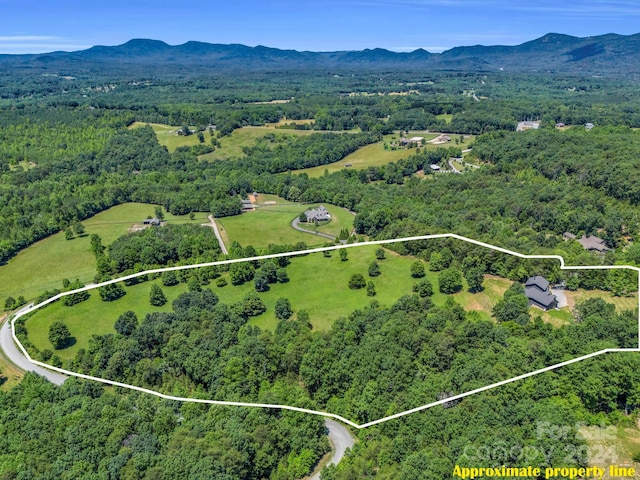 birds eye view of property with a mountain view