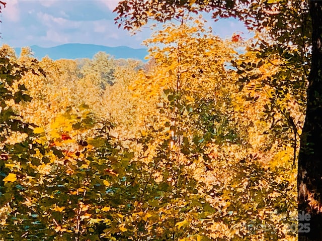 1.85ACRES LOT925 High Valley Way Lot 925, Lenoir, NC 28645 - photo 1