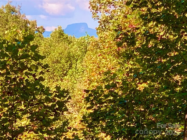 1.85ACRES LOT925 High Valley Way Lot 925, Lenoir, NC 28645 - photo 2