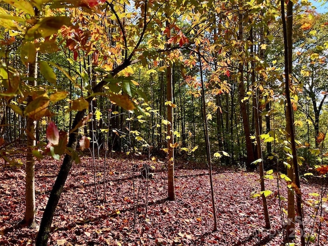 1.85ACRES LOT925 High Valley Way Lot 925, Lenoir, NC 28645 - photo 4