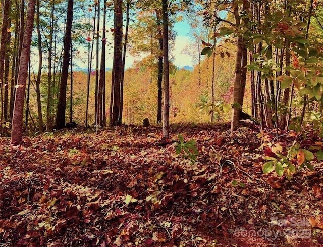 1.85ACRES LOT925 High Valley Way Lot 925, Lenoir, NC 28645 - photo 5