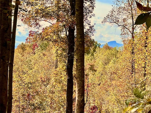 1.85ACRES LOT925 High Valley Way Lot 925, Lenoir, NC 28645 - photo 6