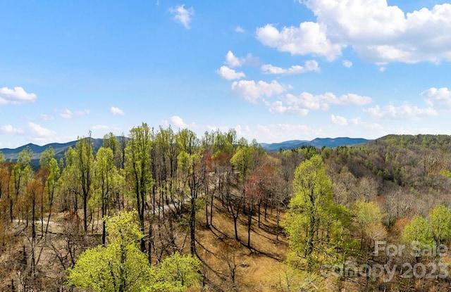 Listing photo 2 for 9999-10 Rocky Knob Rd, Fairview NC 28730