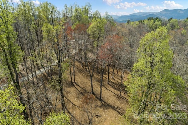 Listing photo 3 for 9999-10 Rocky Knob Rd, Fairview NC 28730