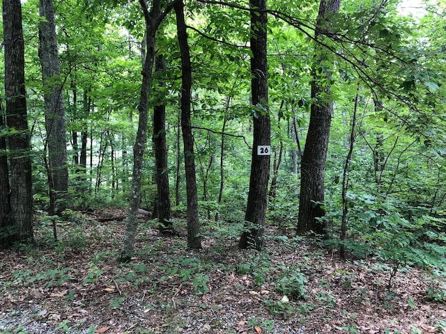 00 Butler Ridge Trl Unit 26, Hendersonville NC, 28792 land for sale