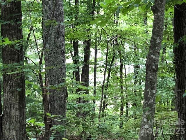 Listing photo 2 for 00 Butler Ridge Trl Unit 26, Hendersonville NC 28792