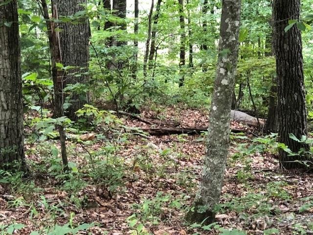 Listing photo 3 for 00 Butler Ridge Trl Unit 26, Hendersonville NC 28792