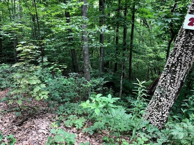 Listing photo 2 for 00 Butler Ridge Trl Unit 27, Hendersonville NC 28792