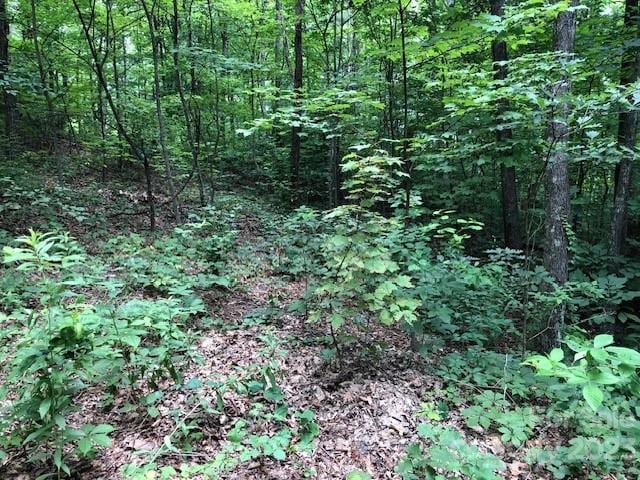 Listing photo 3 for 00 Butler Ridge Trl Unit 27, Hendersonville NC 28792