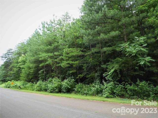 0 Chisholm Trl Unit 54, Rutherfordton NC, 28139 land for sale