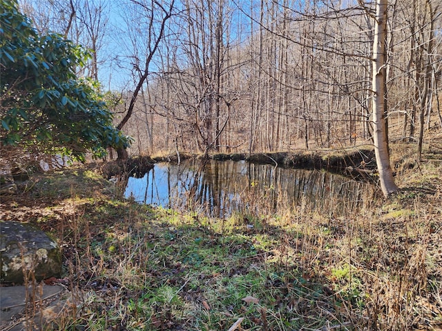 view of water feature