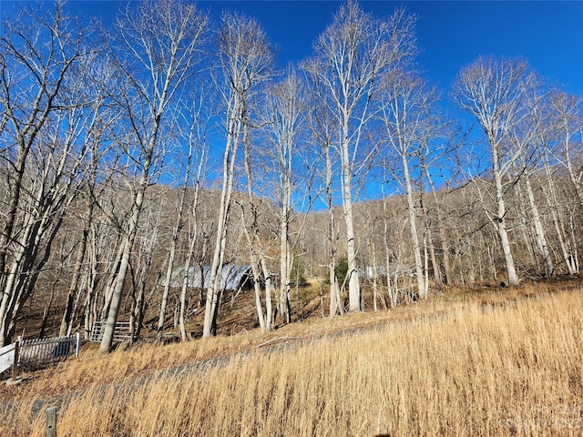 view of local wilderness