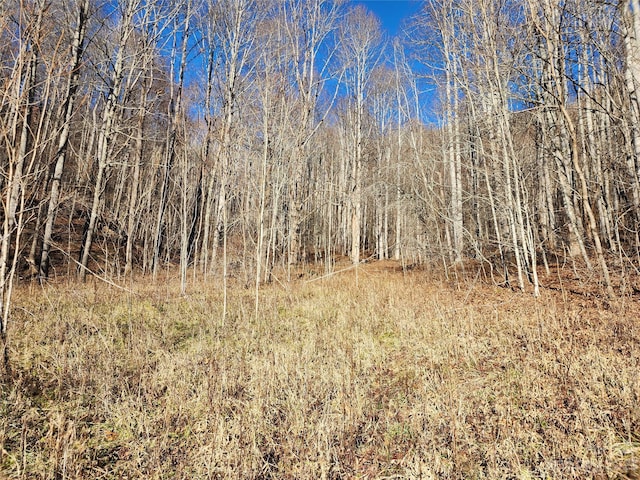 view of landscape