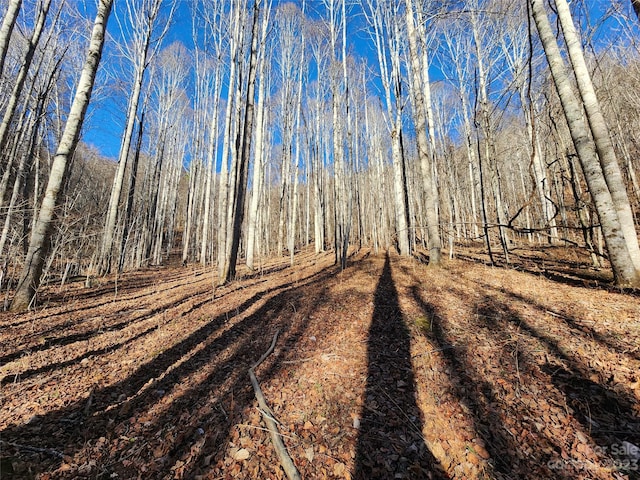 view of nature