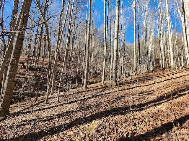 view of landscape