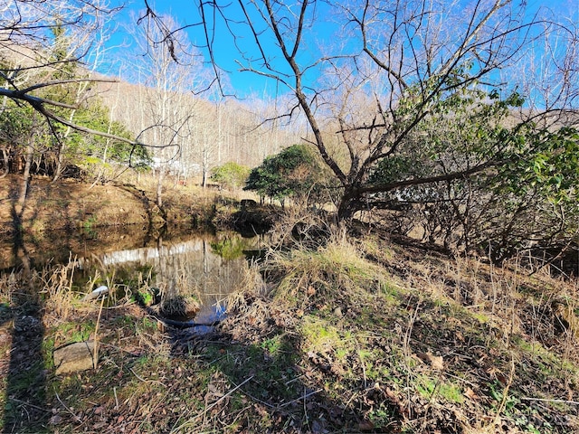 view of nature featuring a water view