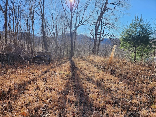 view of landscape