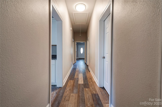 hallway featuring dark wood-type flooring