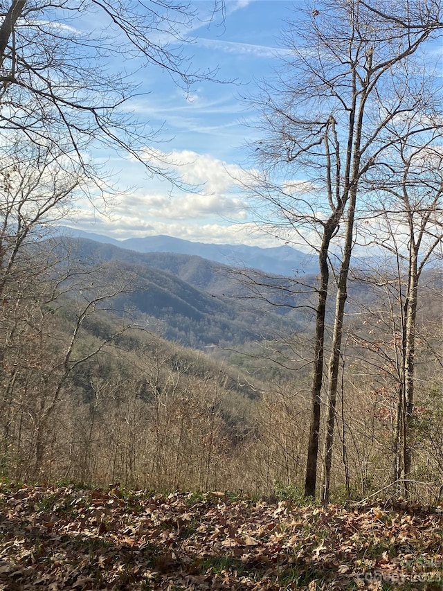 0 Hickory Nut Trl Unit 62, Sylva NC, 28779 land for sale