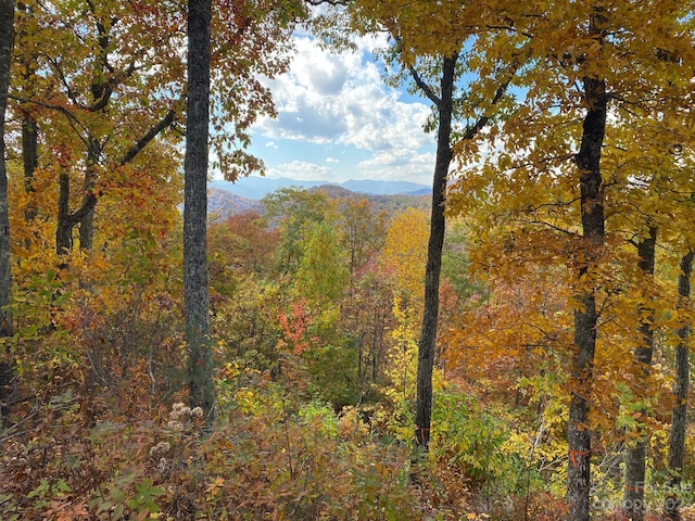 Listing photo 2 for 0 Hickory Nut Trl Unit 62, Sylva NC 28779